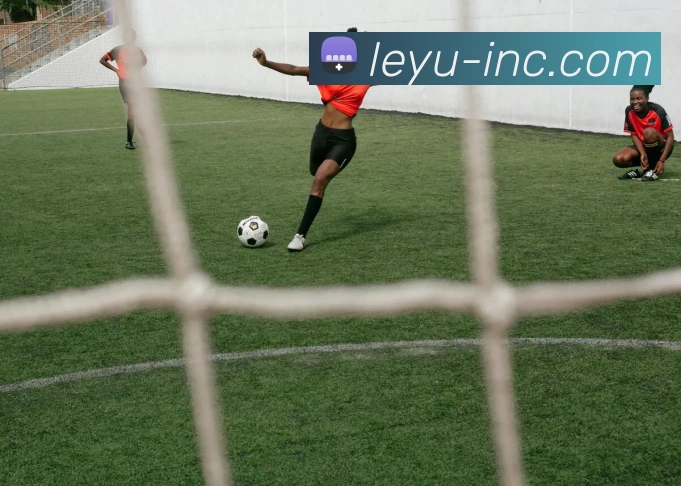 多媒体互动体验