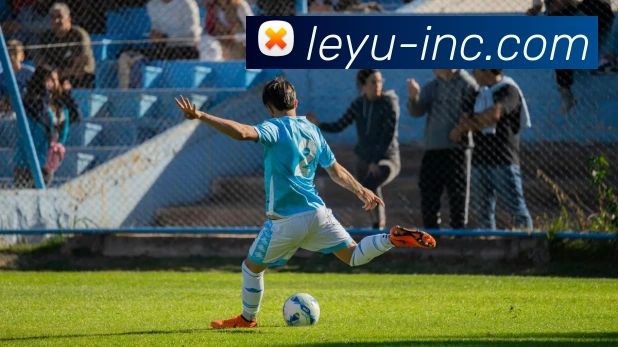 乐鱼官网VIPAPP 高清赛事图